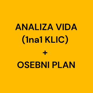 ANALIZA VIDA (1na1 KLIC) + OSEBNI PLAN
